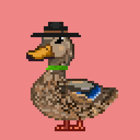 Mallard #1679