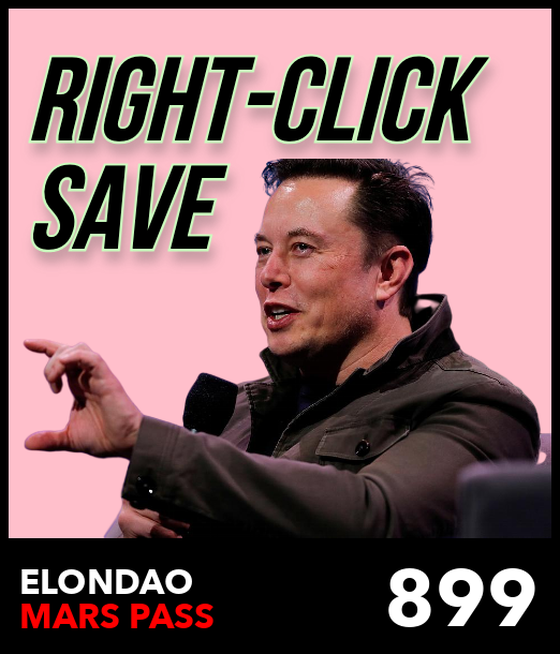 ElonDAO Pass #899