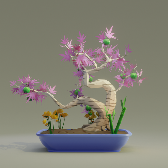 Bonsai #6523