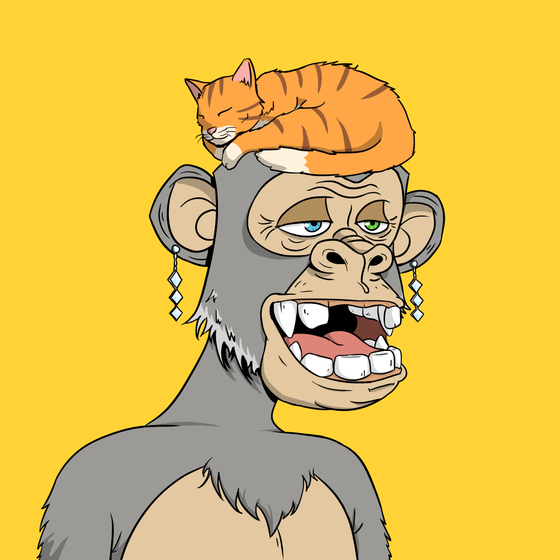 Elderly Ape #1512