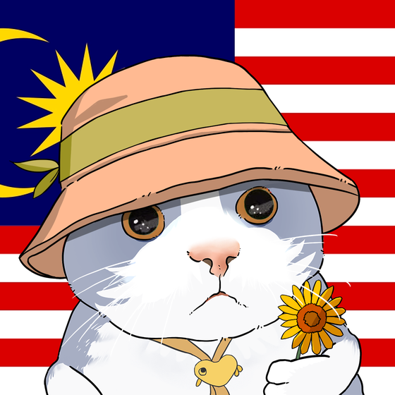 Puzzled cat #2049