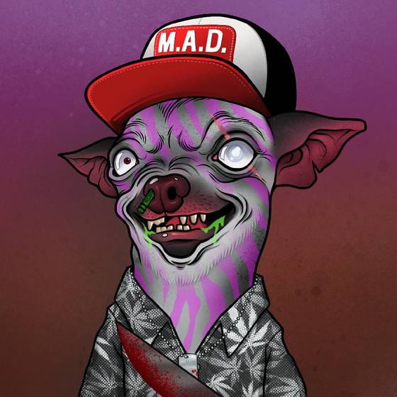 Mad Chihuahua #482