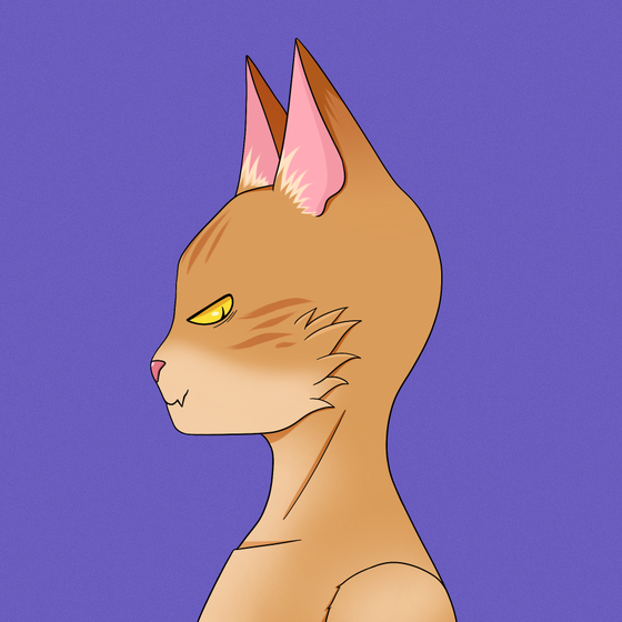 Cat #1684