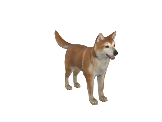 Akita Dog