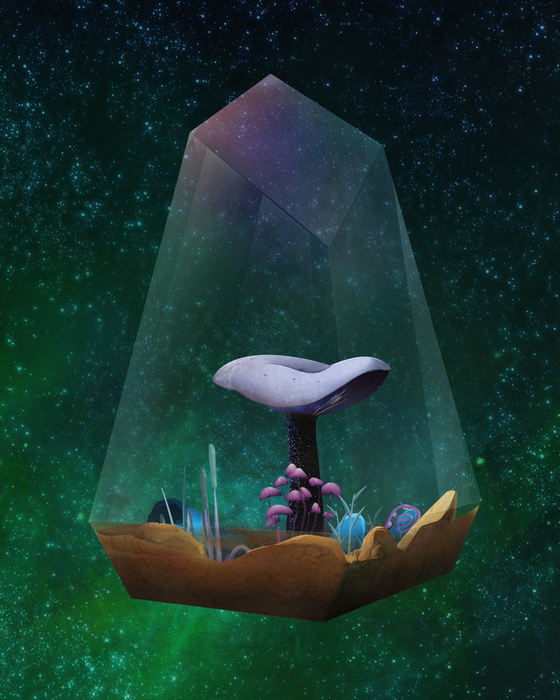 Mushroom #2760