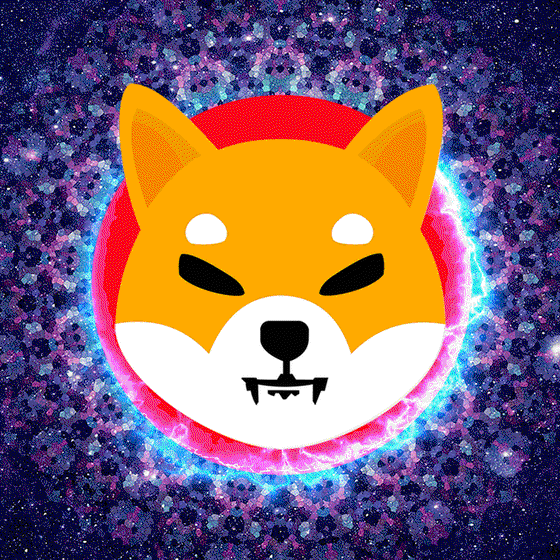 Shiba Inu - Energy Unleashed