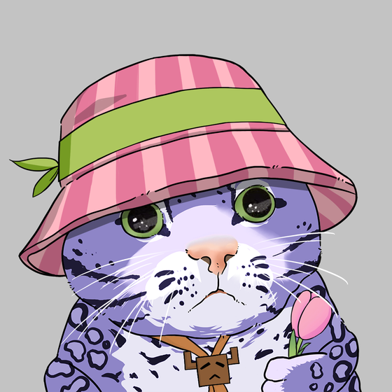 Puzzled cat #9112