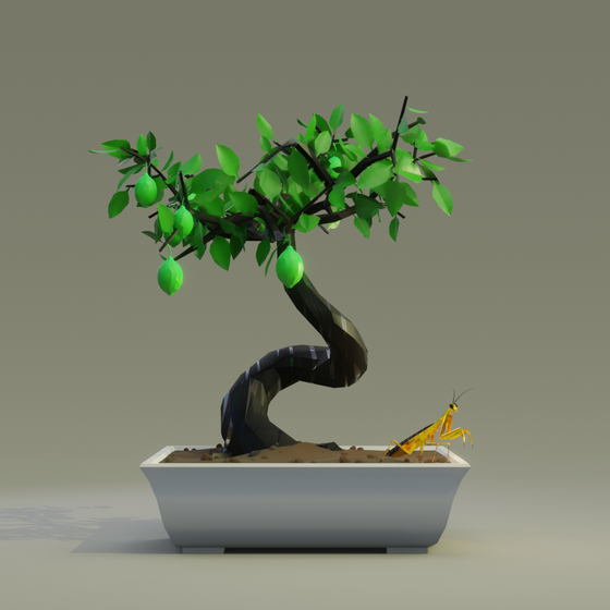 Bonsai #7538