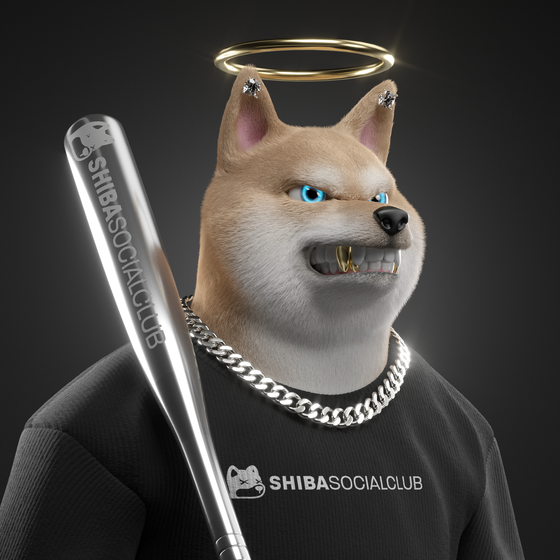 Shiba #4469