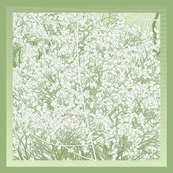 Entangled #220