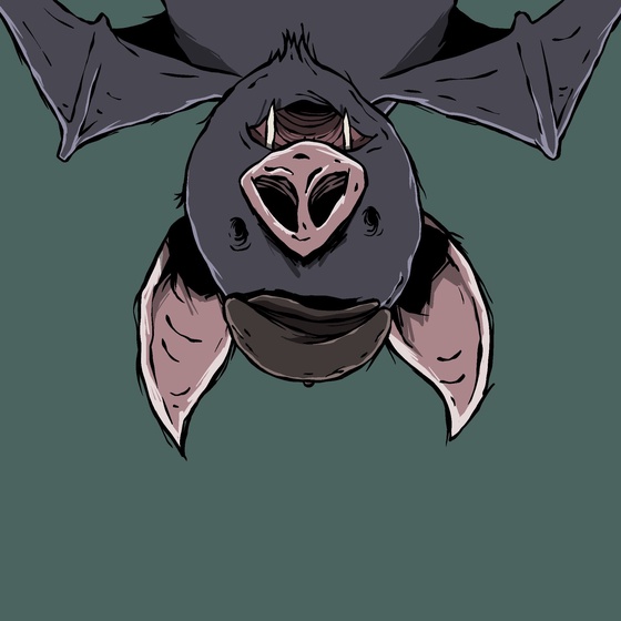 Moon Bats #3531