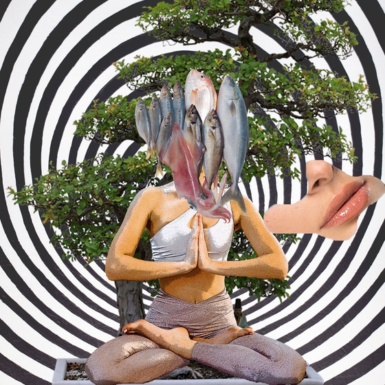 Guru #282