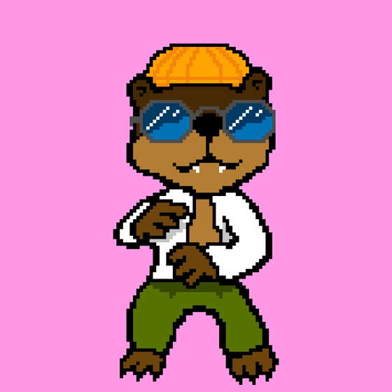 Combat Wombat NFTs #5343