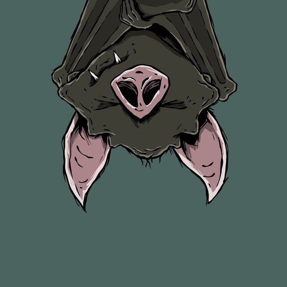 Moon Bats #4404