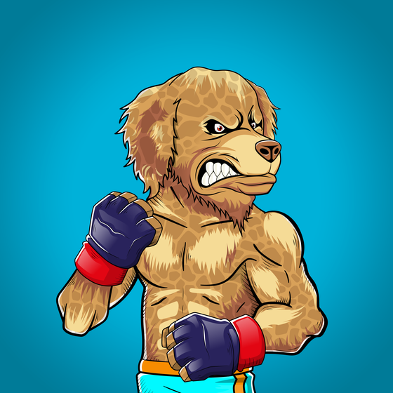 Fighter #254