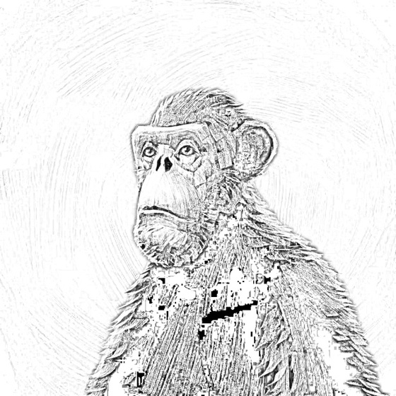 Sketchy Old Ape #720