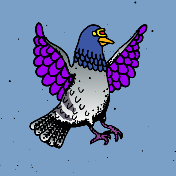 Hood Pigeon #1652