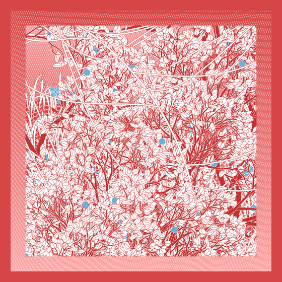 Entangled #167