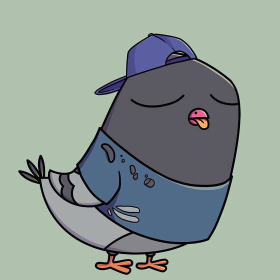 Pigeon #48