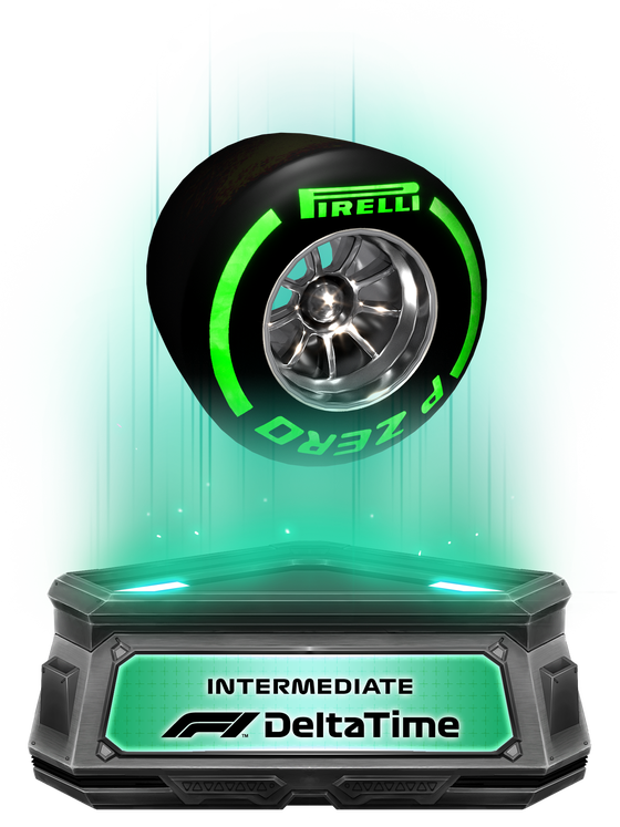 Intermediate Tyres