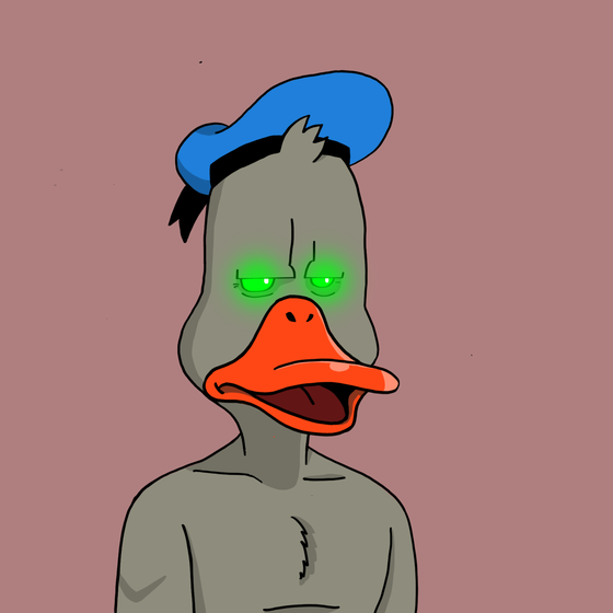 Duck #6427