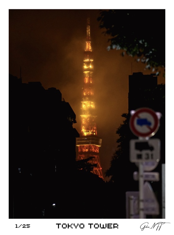 Tokyo Tower (Editions)