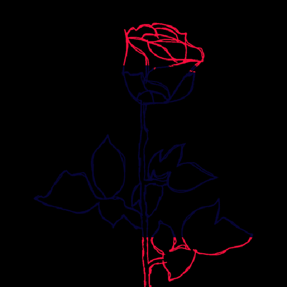 ROSE33