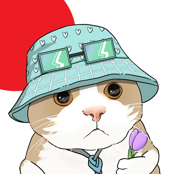 Puzzled cat #7178