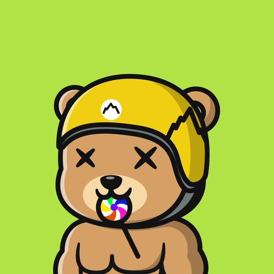 Summer Bear #9139