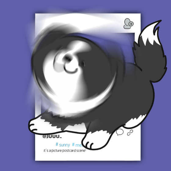 DogDrill#1420