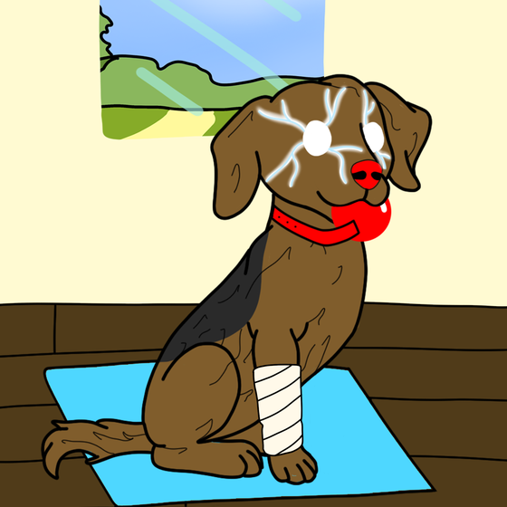 Dog #289