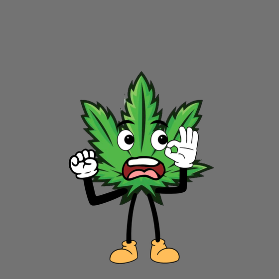 The Weedz #3758