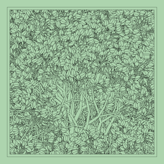 Entangled #72
