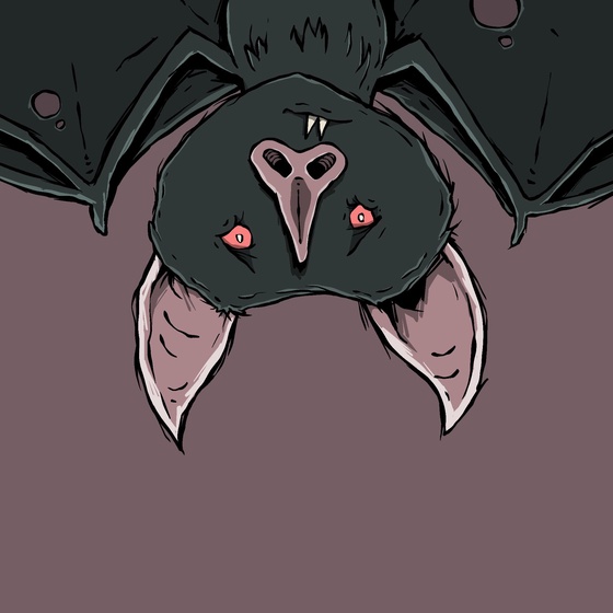 Moon Bats #5011