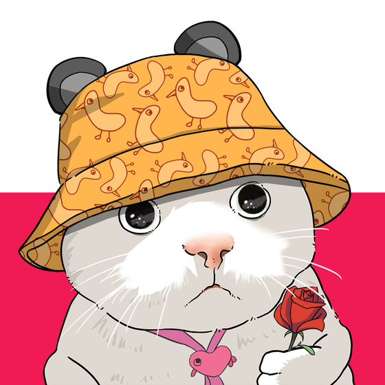 Puzzled cat #8123