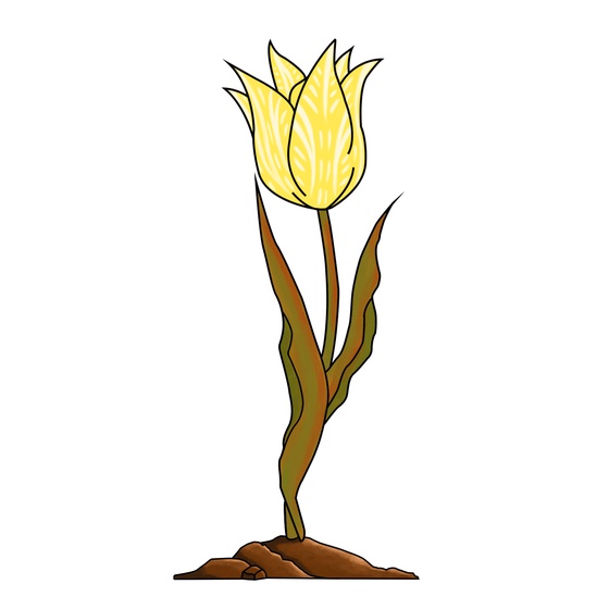 EtherTulip #28