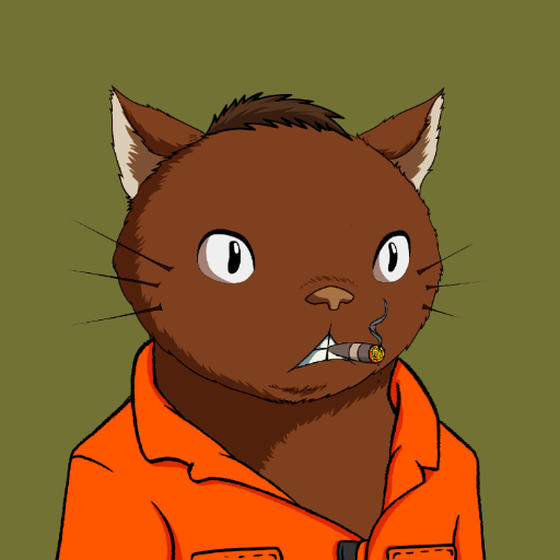 Kitaro Yacht Club #6416