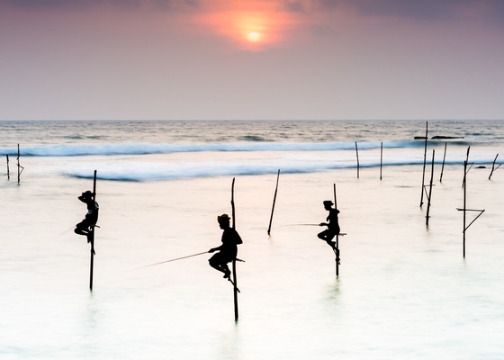 Stilt fishermen at sunset #2