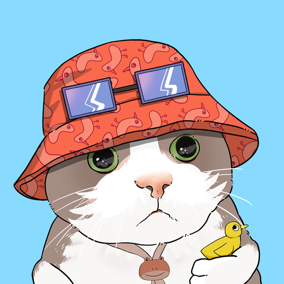 Puzzled cat #3271