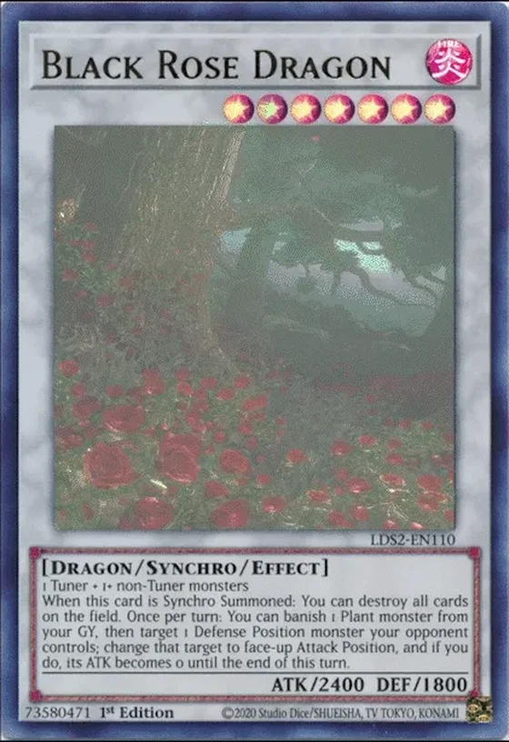 Black Rose Dragon
