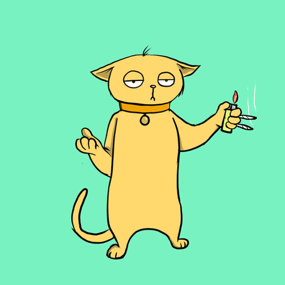 Blazed Cat #6221