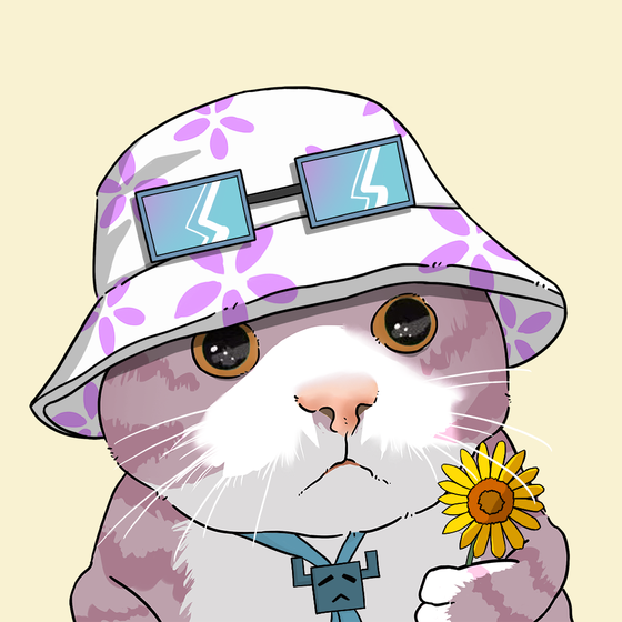 Puzzled cat #6945