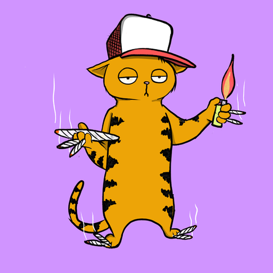 Blazed Cat #6788