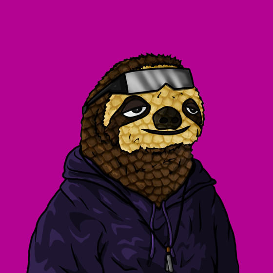 Sammy Sloth Amazon Rainforest Project #19