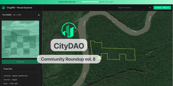 CityDAO roundup Vol 8: Wyoming parcel drop incoming 3/500