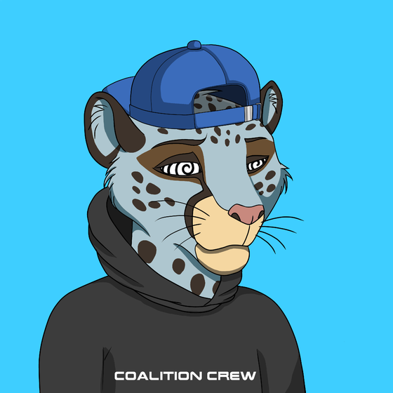 Coalition Crew 2.0 #3827