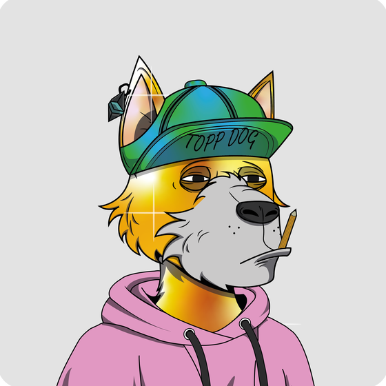 Topp Dogs #127
