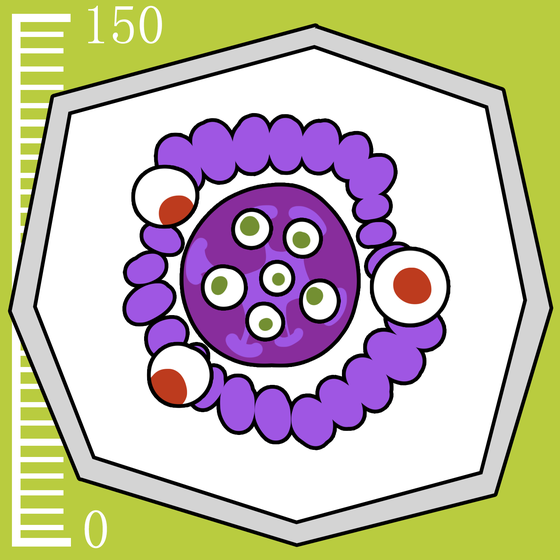 361