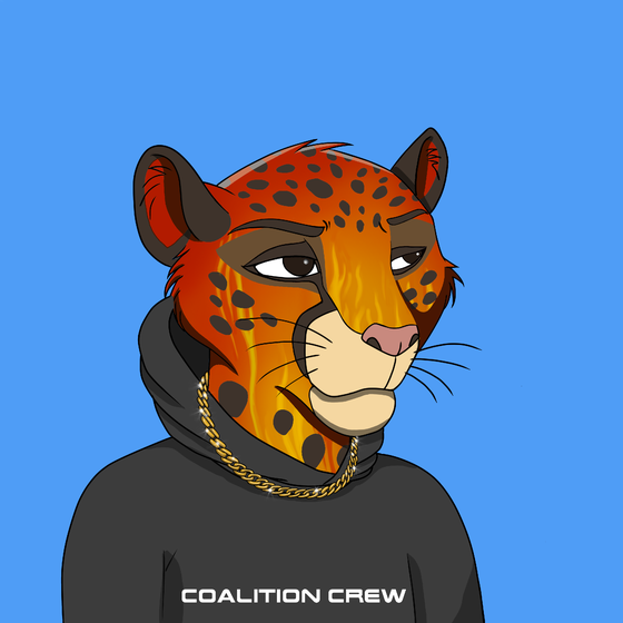 Coalition Crew 2.0 #1342