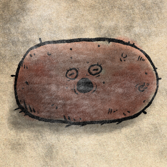 hello potato #891